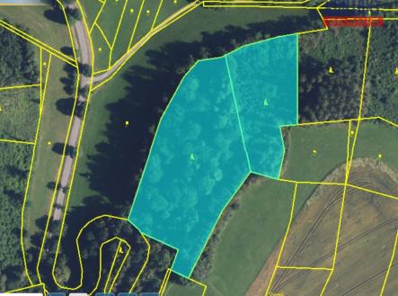 Prodej pozemku, les, 15 596 m²