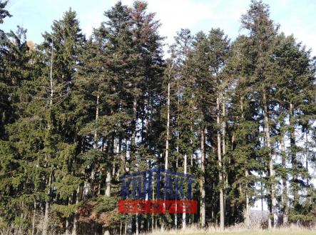 Prodej pozemku, les, 12 818 m²