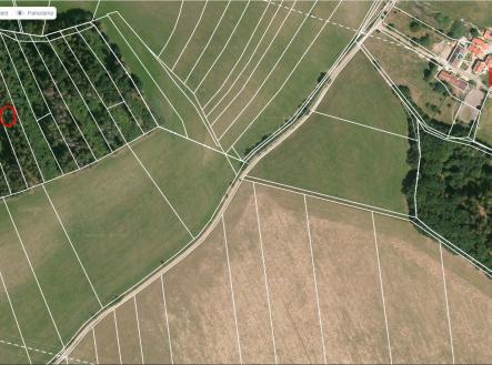 Prodej pozemku, les, 12 818 m²