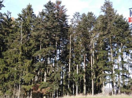 Prodej pozemku, les, 10 142 m²