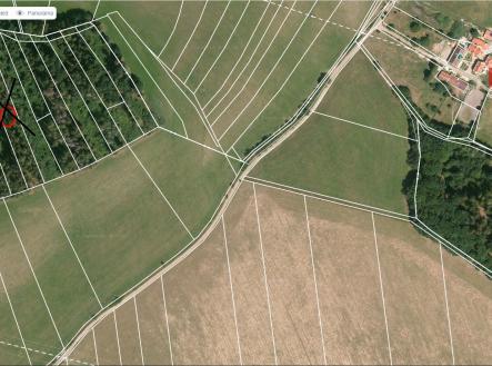 Prodej pozemku, les, 10 142 m²