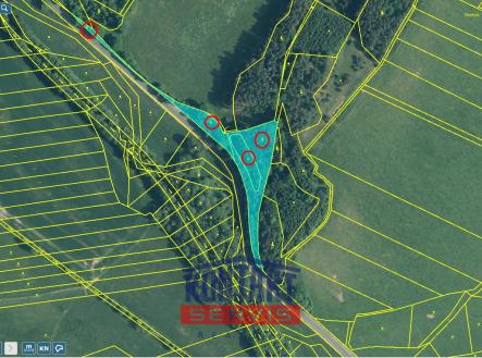 Prodej pozemku, les, 6 236 m²