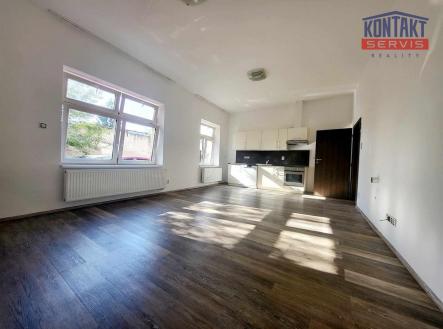 Pronájem bytu, 1+kk, 48 m²