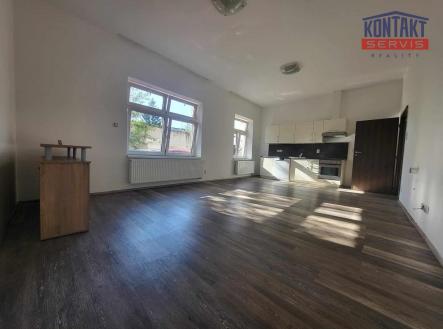 Pronájem bytu, 1+kk, 48 m²