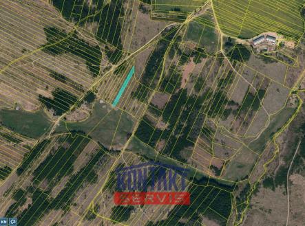 Prodej pozemku, les, 11 455 m²