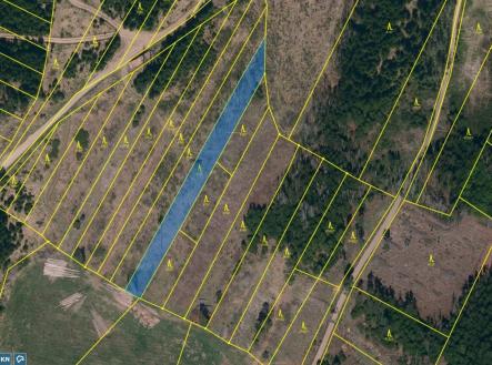 Prodej pozemku, les, 11 455 m²