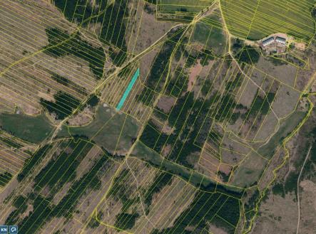 Prodej pozemku, les, 11 455 m²