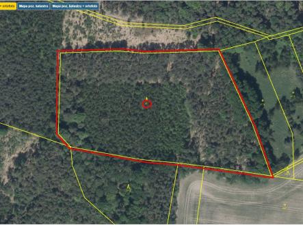 Prodej pozemku, les, 32 004 m²