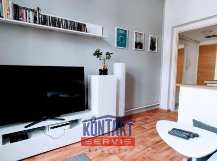 Pronájem bytu, 1+1, 47 m²