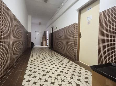 Pronájem kanceláře, 225 m²