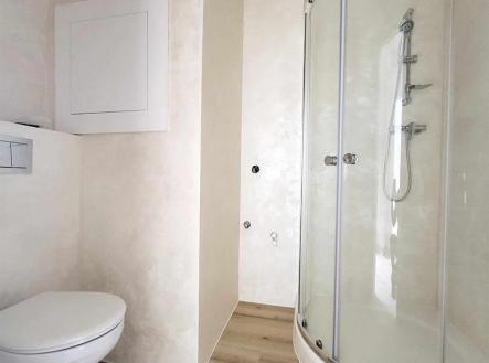 Pronájem bytu, 1+1, 31 m²