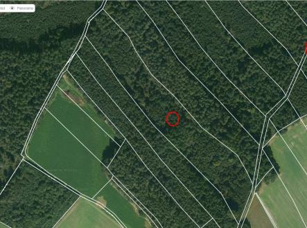 Prodej pozemku, les, 18 846 m²