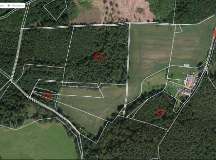 Prodej pozemku, les, 23 269 m²