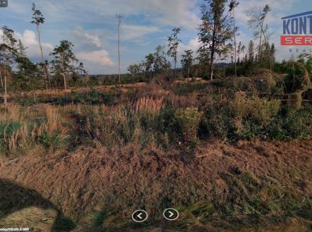 Prodej pozemku, les, 31 695 m²