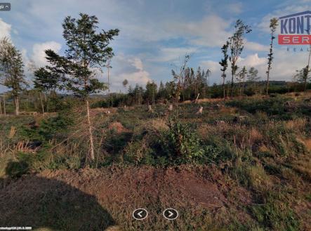 Prodej pozemku, les, 31 695 m²