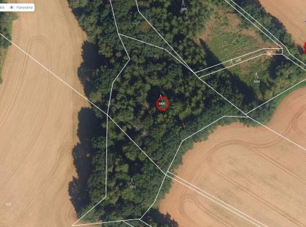 Prodej pozemku, les, 5 546 m²