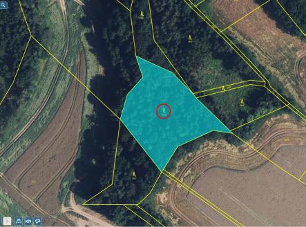 Prodej pozemku, les, 5 546 m²