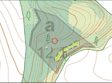 Prodej pozemku, les, 5 546 m²