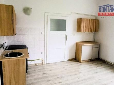 Pronájem bytu, 1+1, 45 m²