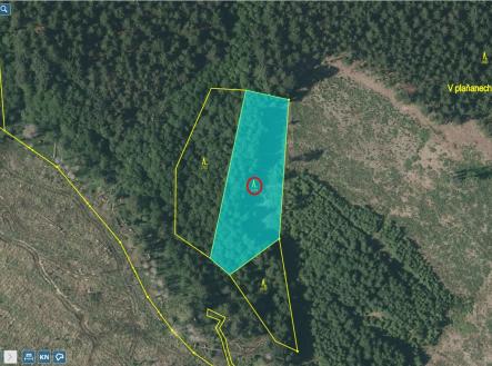 Prodej pozemku, les, 3 382 m²