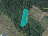 Prodej pozemku, les, 3 382 m²