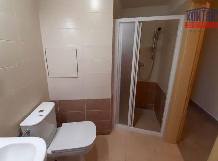 Pronájem bytu, 1+kk, 33 m²