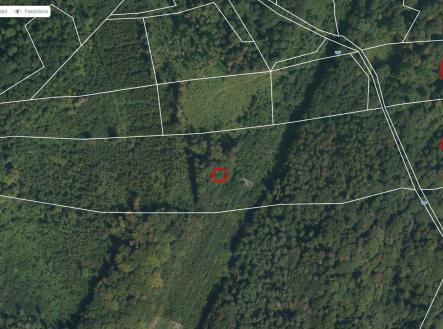 Prodej pozemku, les, 48 718 m²