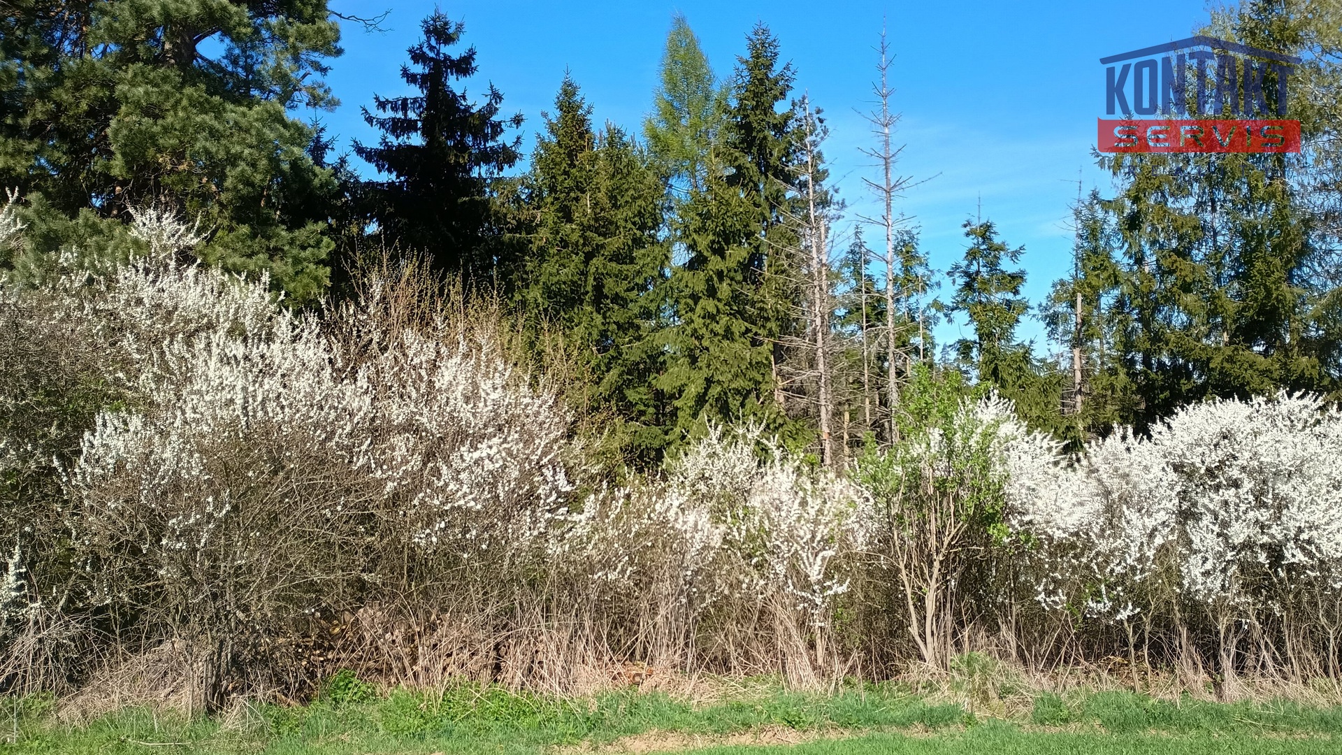IMG_20260422_102425479_HDR