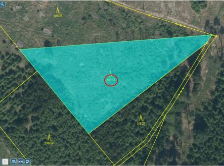 Prodej pozemku, les, 3 892 m²