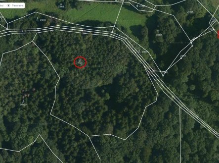 Prodej pozemku, les, 10 951 m²