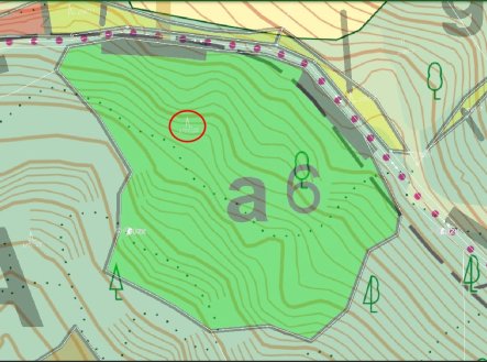 Prodej pozemku, les, 10 951 m²
