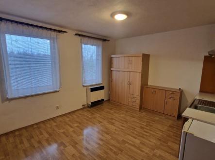 Prodej bytu, 1+kk, 27 m²