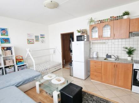 Prodej bytu, 1+kk, 32 m²