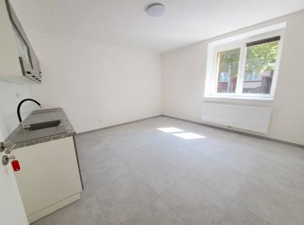 Pronájem bytu, 1+1, 45 m²