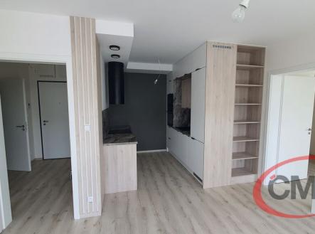 Pronájem bytu, 3+kk, 64 m²