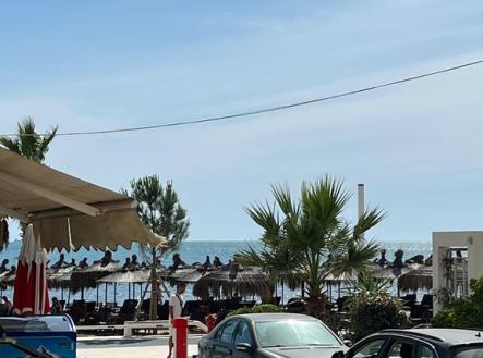 Orchid Casel de Paradise.