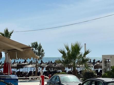 Orchid Casel de Paradise.