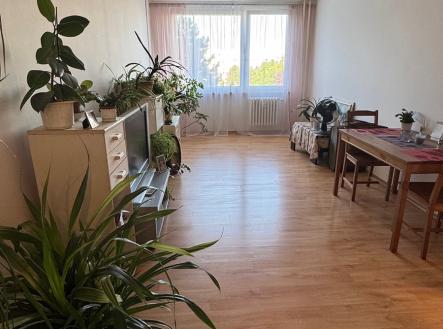 Prodej bytu, 2+kk, 55 m²