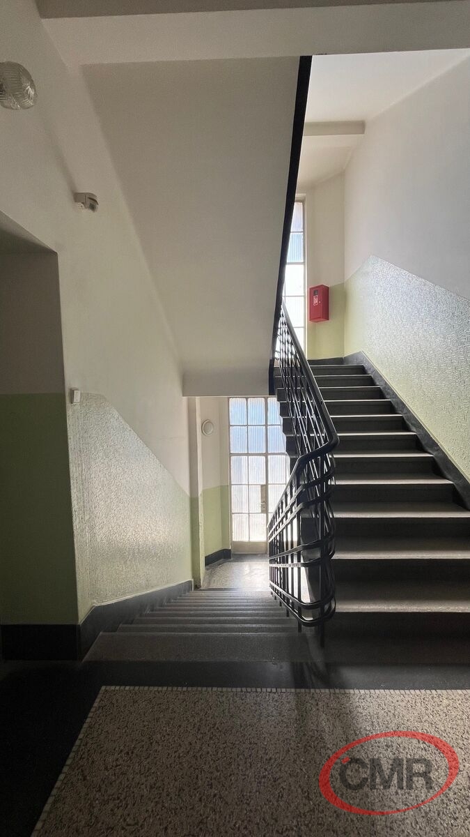 Fotku se nepodařilo načíst.