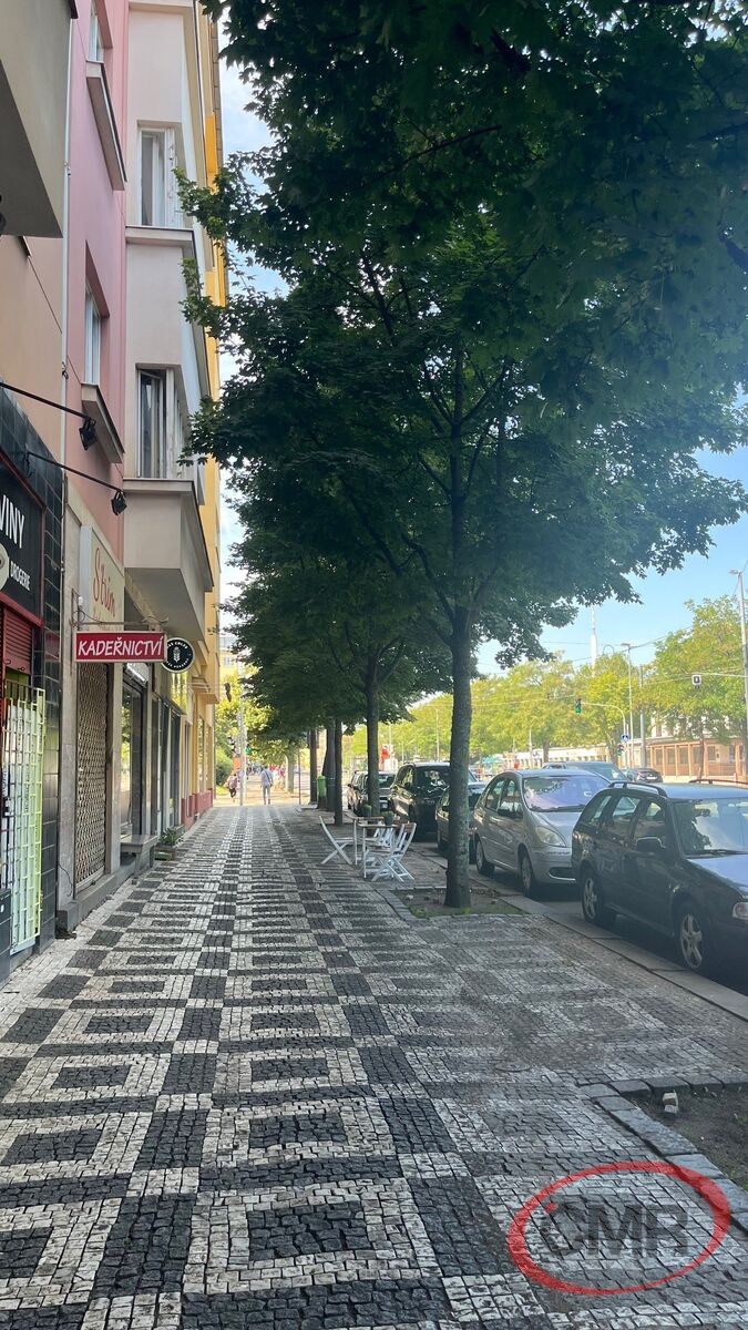 Fotku se nepodařilo načíst.