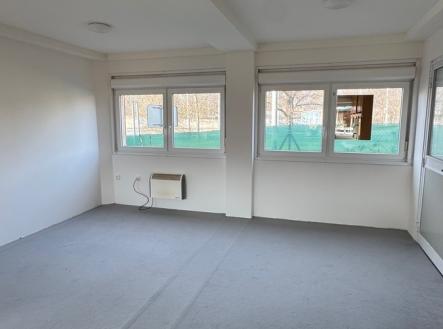 Pronájem domu/vily, 78 m²