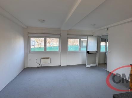 Pronájem domu/vily, 78 m²