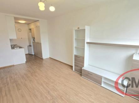 Pronájem bytu, 2+kk, 43 m²