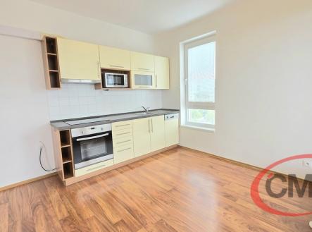 Pronájem bytu, 1+kk, 41 m²