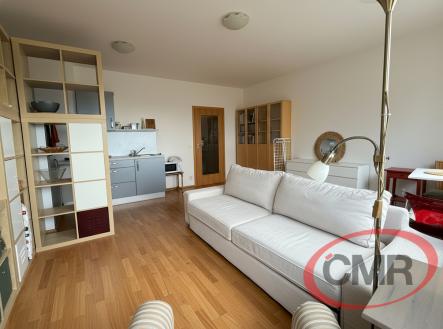 Pronájem bytu, 1+kk, 31 m²