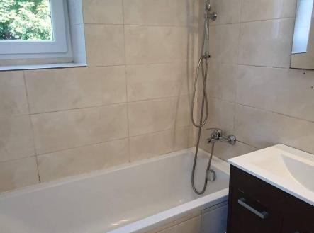 Pronájem domu/vily, 200 m²