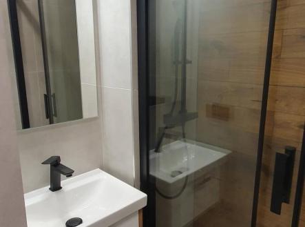 Pronájem bytu, 2+1, 54 m²