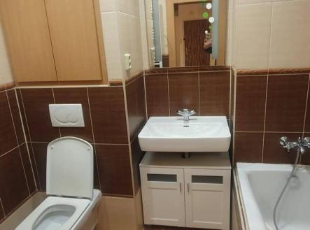 Pronájem bytu, 2+1, 59 m²