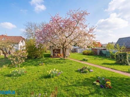 Prodej domu/vily, 277 m²