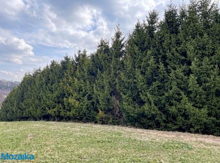 Prodej pozemku, les, 51 563 m²
